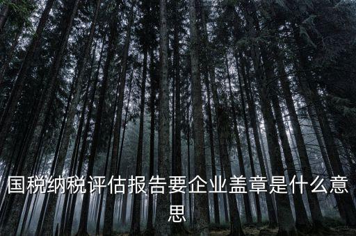 稅務(wù)國別報(bào)告是什么意思，國稅納稅評估報(bào)告要企業(yè)蓋章是什么意思