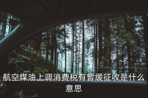 暫緩征收消費稅是什么，航空煤油上調(diào)消費稅有暫緩征收是什么意思