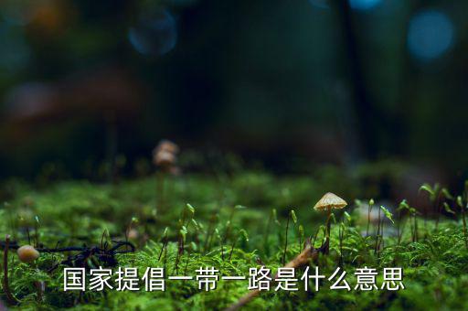 國(guó)稅一帶一路什么意思，一帶一路指什么意思