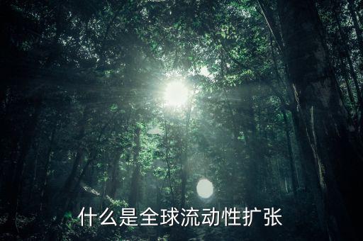 什么叫非居民風險，為什么歐洲央行負債資金來源于非居民