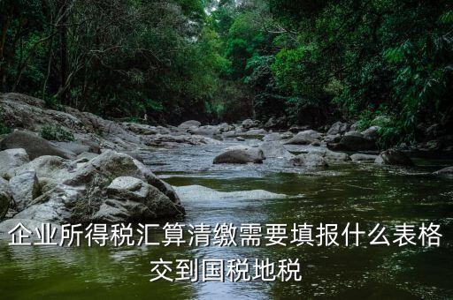 匯算清繳填寫什么表格，請(qǐng)教關(guān)于企業(yè)所得稅匯算清繳中需要填寫的表格的一些問(wèn)題