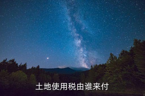 什么公司交土地使用稅，土地使用稅由誰來付