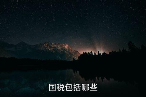 國稅綜合業(yè)務指什么，國稅包括哪些