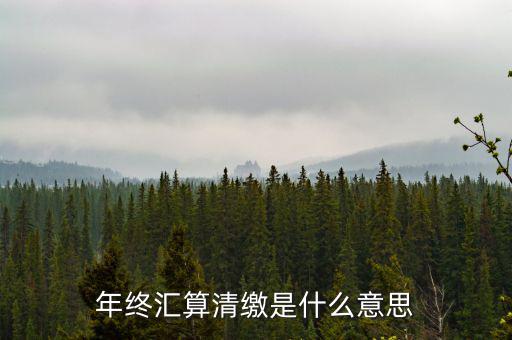 什么是企業(yè)匯算清繳，為什么年底要進行企業(yè)所得匯算清繳