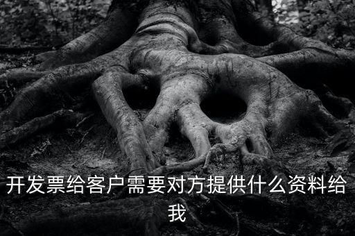 開票需要對方提供什么資料嗎，開發(fā)票給客戶需要對方提供什么資料給我