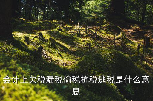 欠繳稅額是什么意思，增值稅申報表第26欄實收出口開具專用繳款書退稅額指的是什么