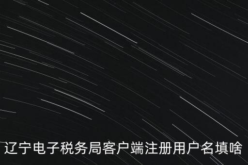 網(wǎng)上辦稅帳號是什么，登錄國稅網(wǎng)上辦稅服務(wù)廳的用戶名和密碼是什么