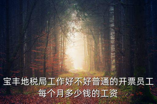 寶豐國(guó)稅局局長(zhǎng)叫什么，寶豐三分局移動(dòng)營(yíng)業(yè)廳地址在哪里