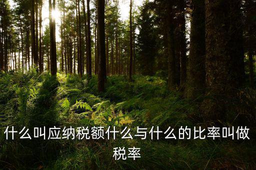 什么叫應(yīng)用稅額，各種收入等于應(yīng)用稅額除以什么