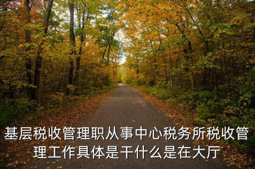 稅源管理干什么，基層稅收管理職從事中心稅務(wù)所稅收管理工作具體是干什么是在大廳