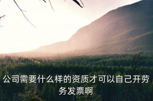 勞務(wù)發(fā)票包括什么條件，急急急什么樣的公司需要開(kāi)勞務(wù)發(fā)票