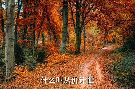 資源稅從價(jià)計(jì)征是什么意思，什么是從價(jià)計(jì)征和從量計(jì)征