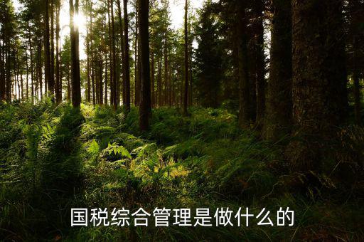 國稅綜合業(yè)務(wù)是什么，國稅綜合管理是做什么的