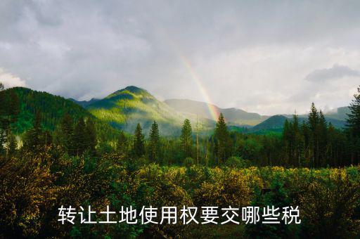 轉(zhuǎn)讓土地使用權(quán)要交什么稅，轉(zhuǎn)讓土地使用權(quán)要交哪些稅
