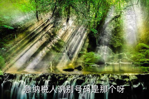 納稅人識(shí)別卡是什么，一般納稅人的IC卡的型號(hào)中JK100和JK300有什么區(qū)別