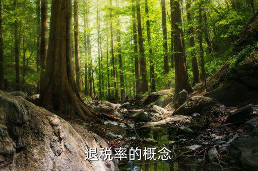 出口退稅率是什么意思，出口退稅率是什么意思啊什么樣的人要交呢