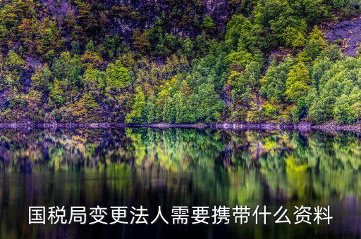稅務(wù)變更法人需要什么資料，國(guó)稅局變更法人需要攜帶什么資料