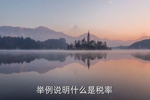 稅率說(shuō)明是什么意思，稅率是什么意思