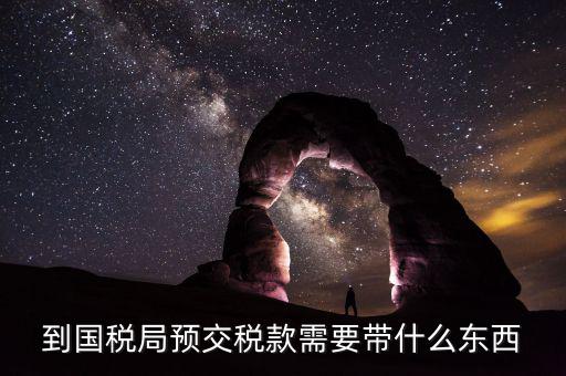 預繳稅金需要什么資料，到國稅局預交稅款需要帶什么東西
