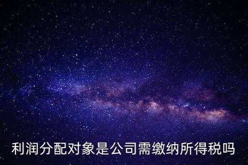 利潤分配交什么稅，企業(yè)年終利潤分配還要再繳什么稅嗎