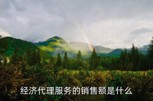 什么是經(jīng)濟(jì)代理，請(qǐng)問(wèn)什么叫經(jīng)濟(jì)合同代理人