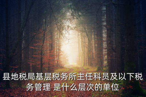 地稅局主任干什么，在地稅局工作寫材料具體是怎么工作