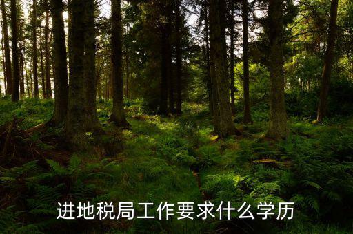 地稅上班要會什么最低學歷，要去地稅局上班都要學些什么啊