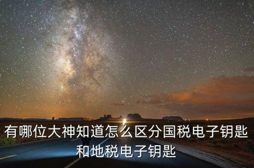 國稅電子鑰匙是什么，稅務(wù)密鑰是什么東西是數(shù)字證書嗎