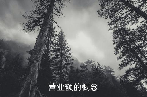 營業(yè)額指的是什么，招標(biāo)文件中的營業(yè)額指的是利潤表中的主營業(yè)務(wù)收入嗎