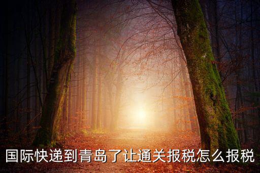青島物流公司拿什么稅，國際快遞到青島了讓通關(guān)報(bào)稅怎么報(bào)稅