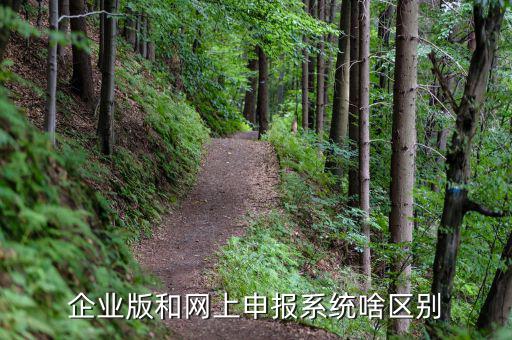 為什么要用單機版報稅，網(wǎng)上報個人所得稅填寫的步驟