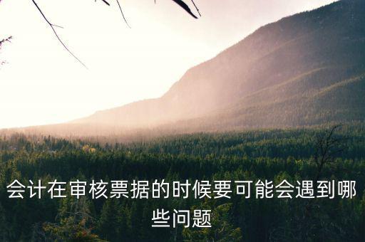 審核憑證會(huì)出什么問(wèn)題，在審核憑證時(shí)出現(xiàn)這個(gè)問(wèn)題是怎么回事