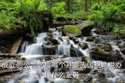 地稅辦什么業(yè)務，地稅局營業(yè)廳辦甚么業(yè)務