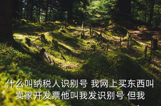公司納稅識(shí)別號(hào)是什么意思，納稅人識(shí)別碼是什么