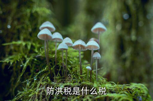 什么防洪稅，水利工程建設(shè)防洪工程應(yīng)交什么稅