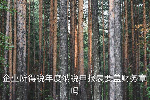 所得稅年報要蓋什么章，企業(yè)所得稅年度納稅申報表要蓋財務(wù)章嗎