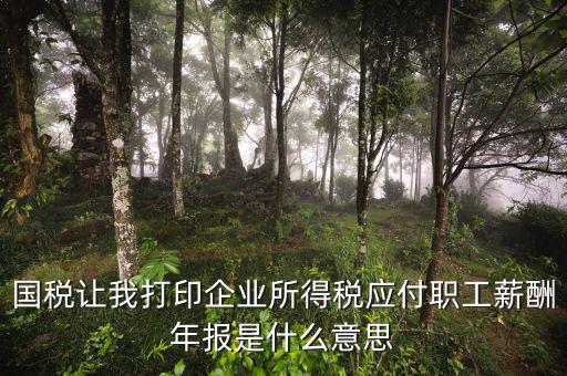所得稅年報(bào)是什么意思，企業(yè)所得稅年報(bào)是什么意思怎么報(bào)去年4個(gè)季度都報(bào)了呀我是