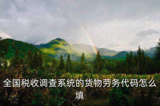 商品和勞務(wù)編碼是什么，貨物勞務(wù)代碼如何填