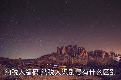 納稅人的識別號是什么意思，納稅人識別號是什么