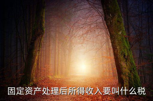 什么叫做試點(diǎn)納稅人，固定資產(chǎn)處理后所得收入要叫什么稅