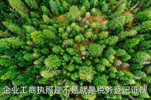 什么是工商稅務(wù)登記證，什么是稅務(wù)證