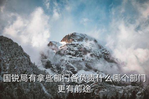 國(guó)銳局是辦什么，深圳公司入黑名單注銷吊銷