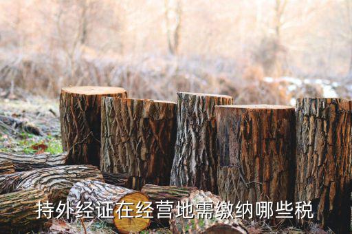 江蘇企業(yè)開外經(jīng)證要交什么稅，持外經(jīng)證在經(jīng)營(yíng)地需繳納哪些稅