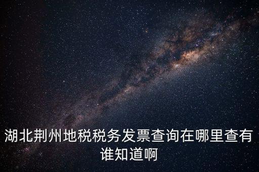 湖北荊州地稅稅務發(fā)票查詢在哪里查有誰知道啊