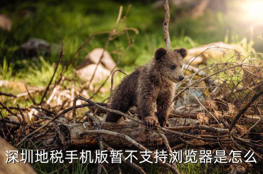 深圳國稅網(wǎng)站用什么瀏覽器打開，國稅網(wǎng)為什么看不到增值稅申報(bào)表平時(shí)一打開這個(gè)頁面就可以點(diǎn)擊看
