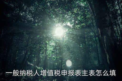 一般納稅人主表是什么，一般納稅人增值稅申報(bào)表主表怎么填