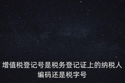 一般納稅人登記編號是什么，納稅人編號是什么