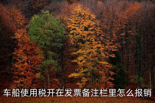 車船使用稅為什么在發(fā)票備注欄，保險公司代收的車船稅稅款是填在備注欄里的么