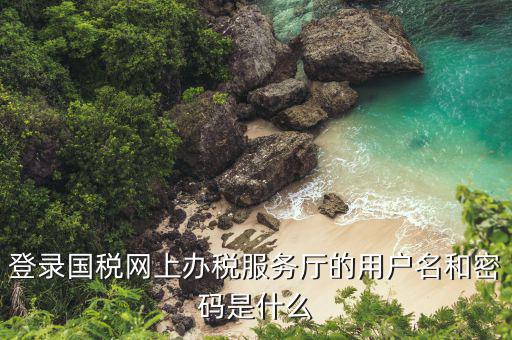 河北省地稅登陸的用戶名是什么，登錄國稅網(wǎng)上辦稅服務廳的用戶名和密碼是什么