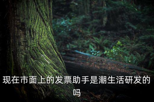 國稅發(fā)票助手是干什么的，現(xiàn)在市面上的發(fā)票助手是潮生活研發(fā)的嗎